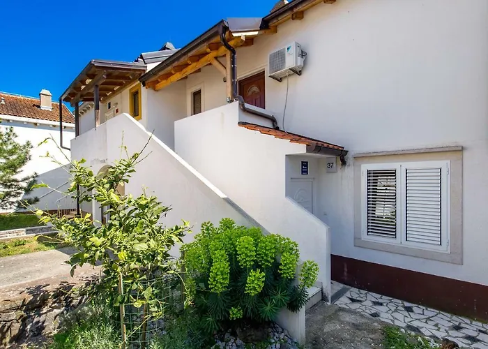 Apartments In Pinewood Near The Sea