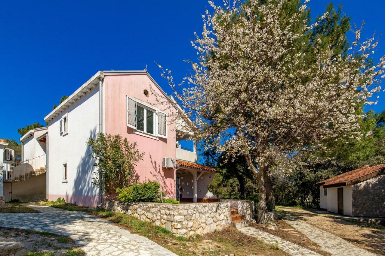 In Pinewood Near The Sea Mali Losinj