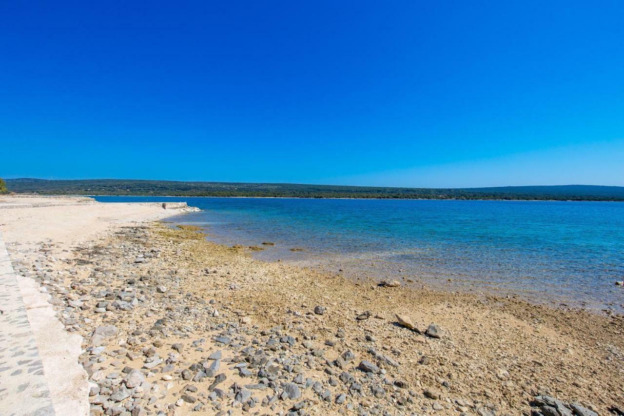 In Pinewood Near The Sea * Mali Losinj
