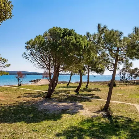 Apartments In Pinewood Near The Sea Mali Losinj Exterior photo