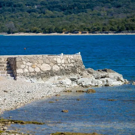 Apartments In Pinewood Near The Sea Mali Losinj Exterior photo