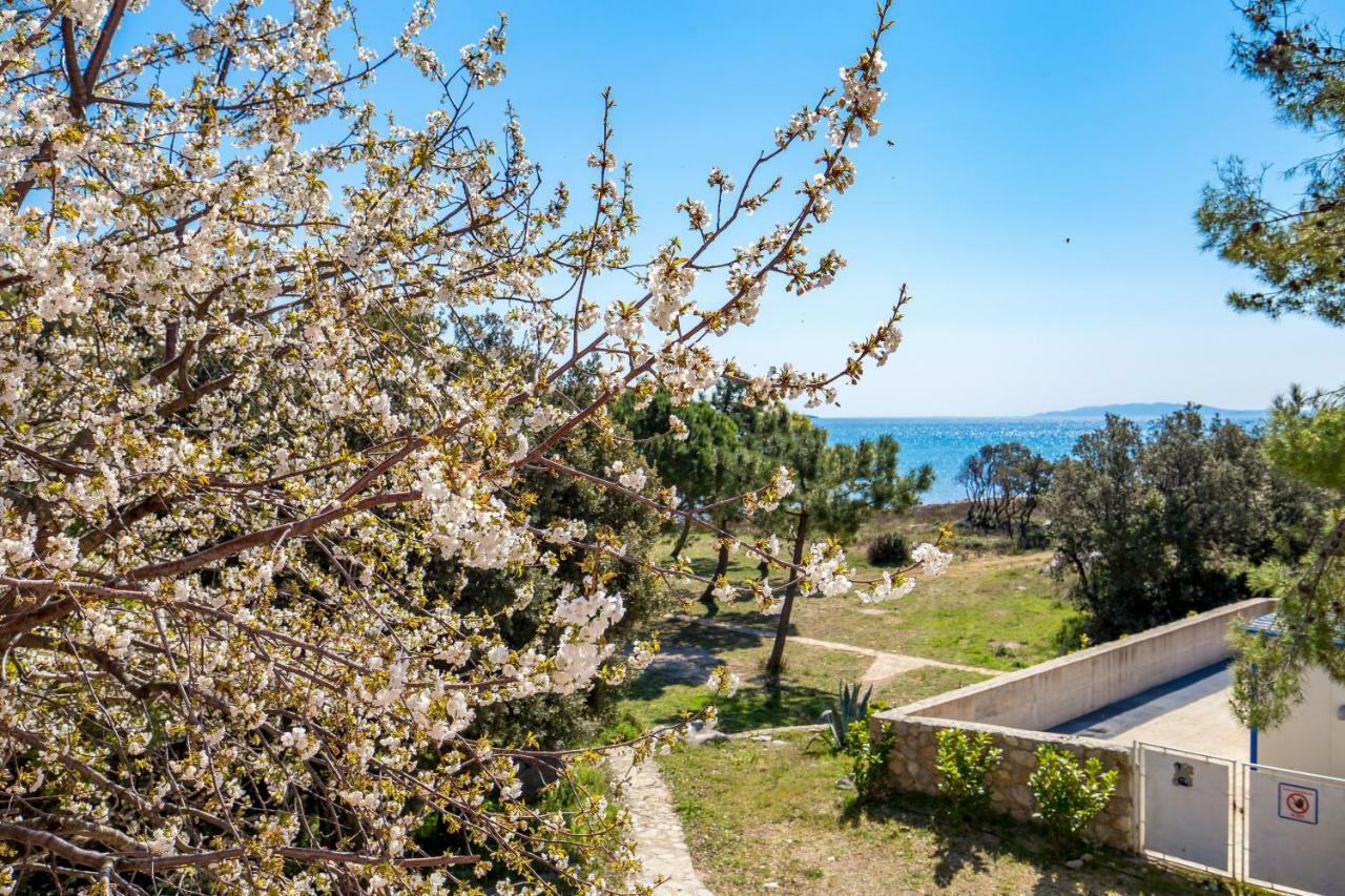 In Pinewood Near The Sea Apartman