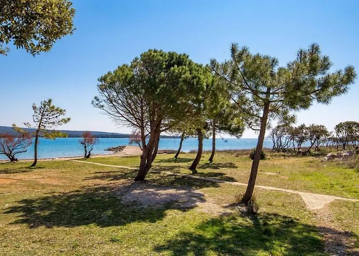Apartments In Pinewood Near The Sea